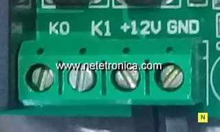 www.netetronica.com