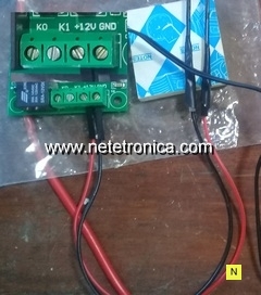 www.netetronica.com